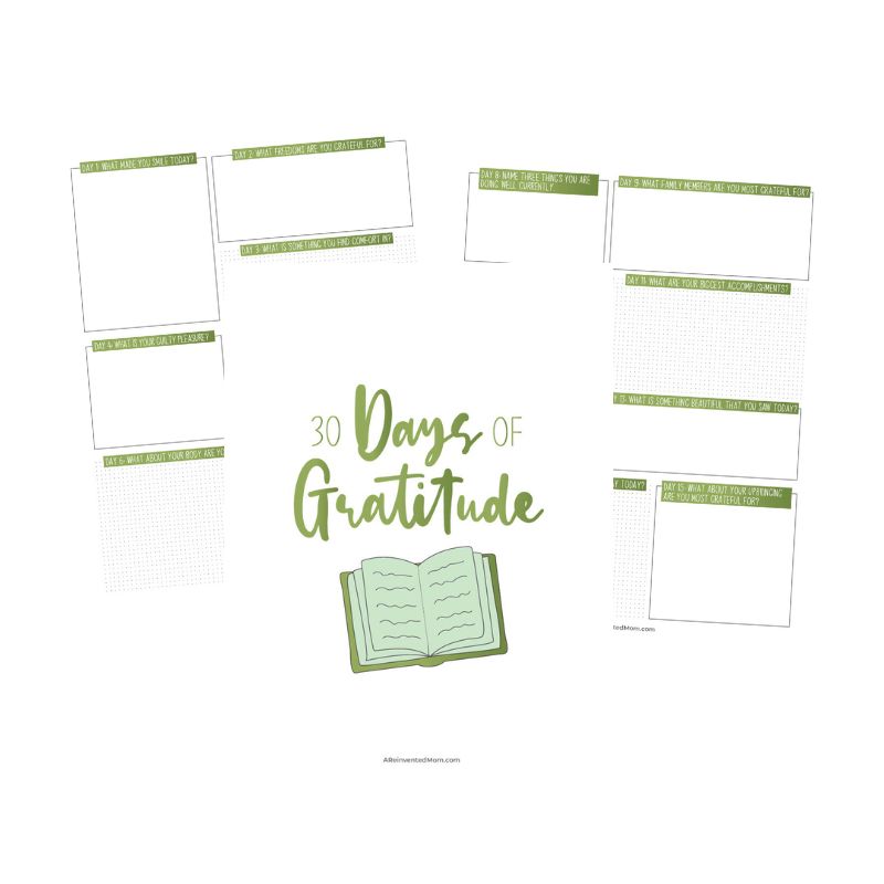 30 Days of Gratitude Journal
